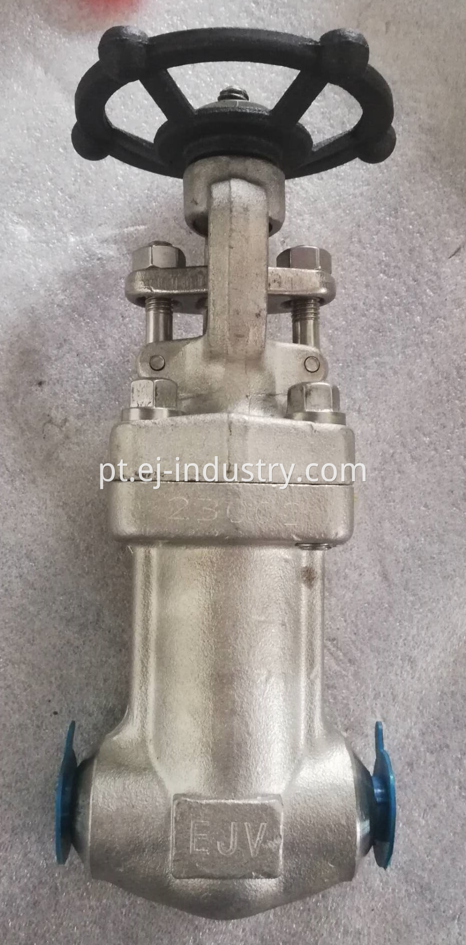 Bellow Globe Valve2 2